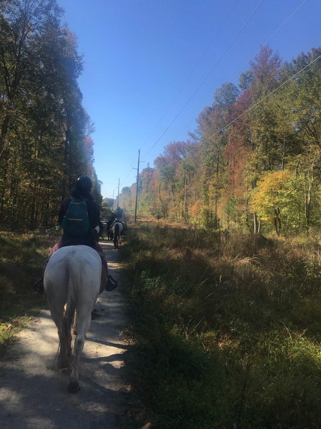 What do you do when the thing you thought was your calling just isn’t?