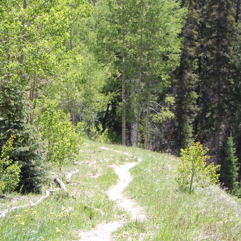 I want to feel passionate about what I’m doing