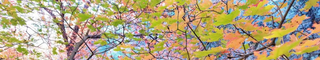 Some of what I wanted to write about would never get published in the&nbsp;mainstream