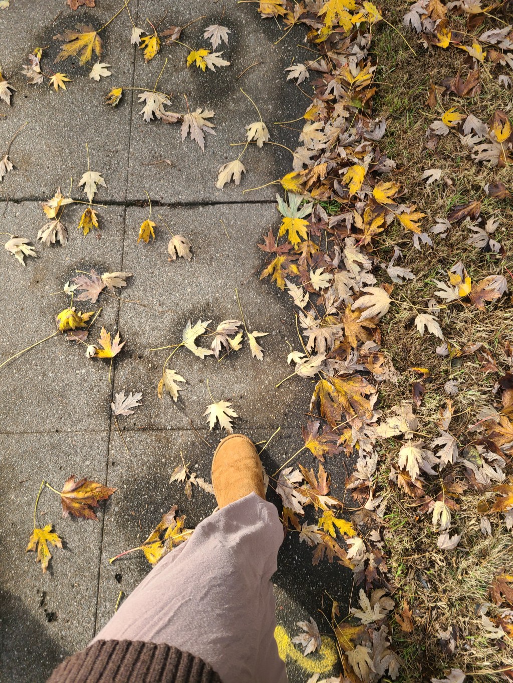 I read my books, watch the shows/movies I love, I eat what I want, & I do what I want (which isn’t much)