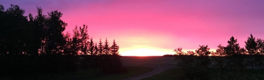 Under normal circumstances, I make a point of getting what I want