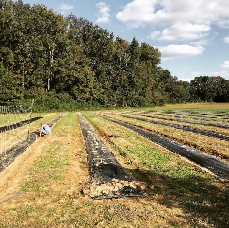 I want to make enough money growing flowers to sustain the business and then I want to give tons of Faith Flowers away to people that need them