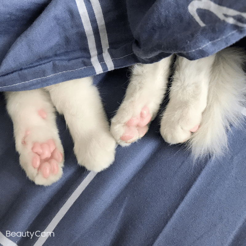 I want to be the designer of dazzling stage costumes and eye-catching costumes for the main characters in movies and TV&nbsp;series