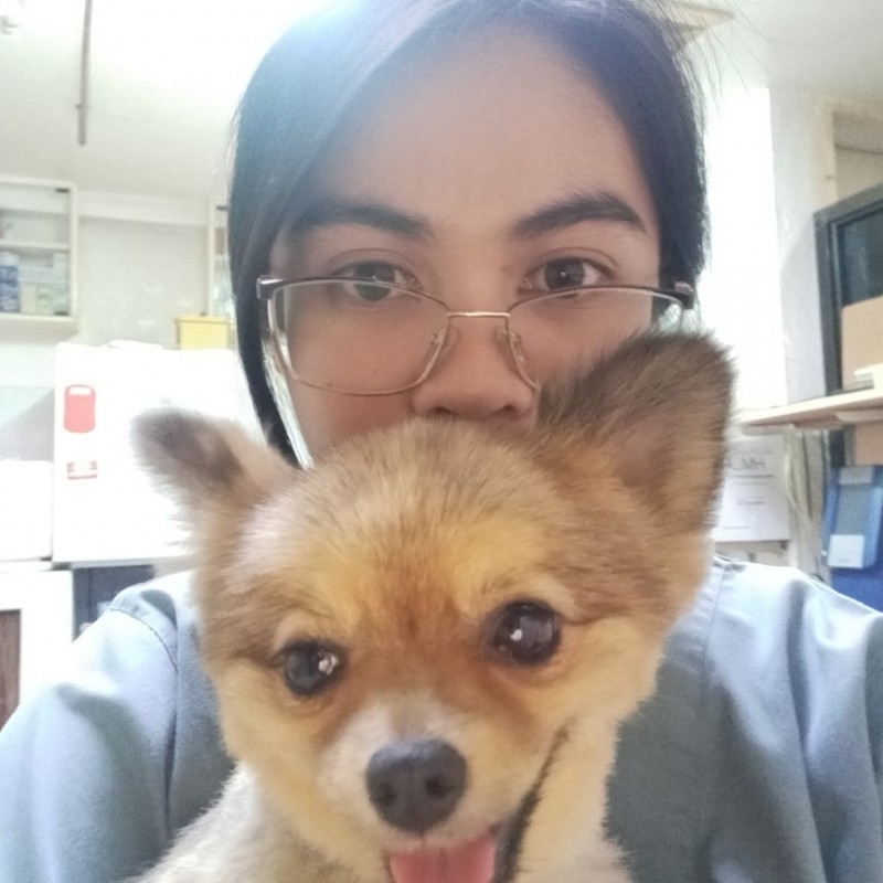 With the excitement that I am feeling, I wanted you to know that I have been praying about you