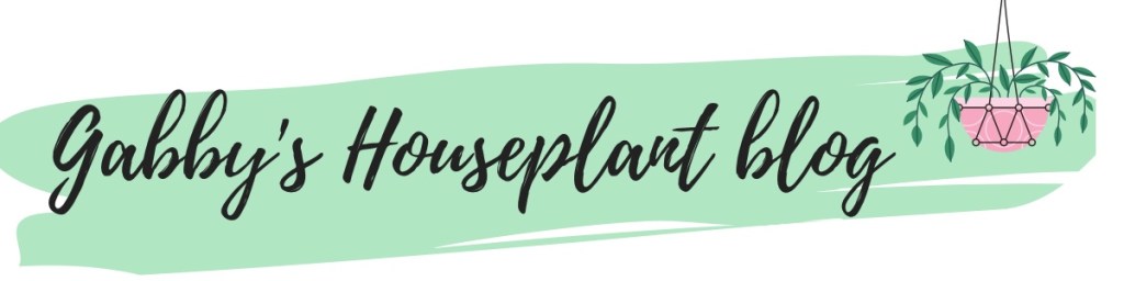 I want to use this blog to document my houseplant hobby as well as discuss the good, the bad, and the ugly of plant&nbsp;parenthood