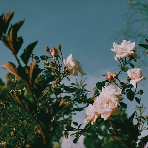 My family home has taught me how to love people even while not really liking them in the moment, how to apologize for something said in anger, how to recognize the importance of maintaining bonds and preserving relationships with those we really truly care about