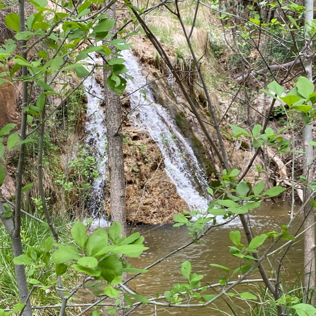 I realized that I could either continue on the path that the world wrote for me or start my&nbsp;own