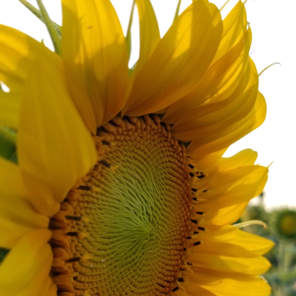 I want this house to be a place for everyone who stays with us — family and friends — where they are surrounded by safety and love