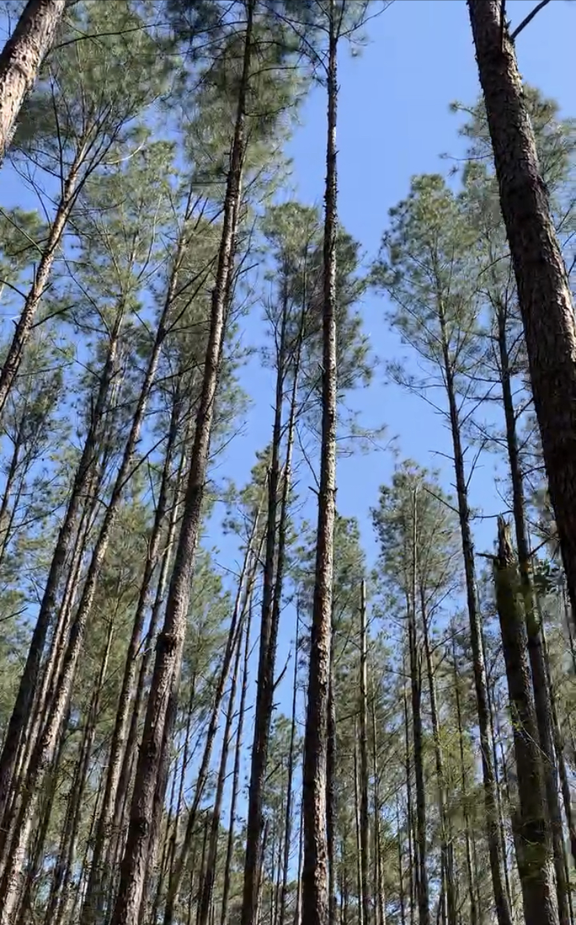 I made my choice and I did all of the right things to land myself a public school teaching job after I&nbsp;graduated