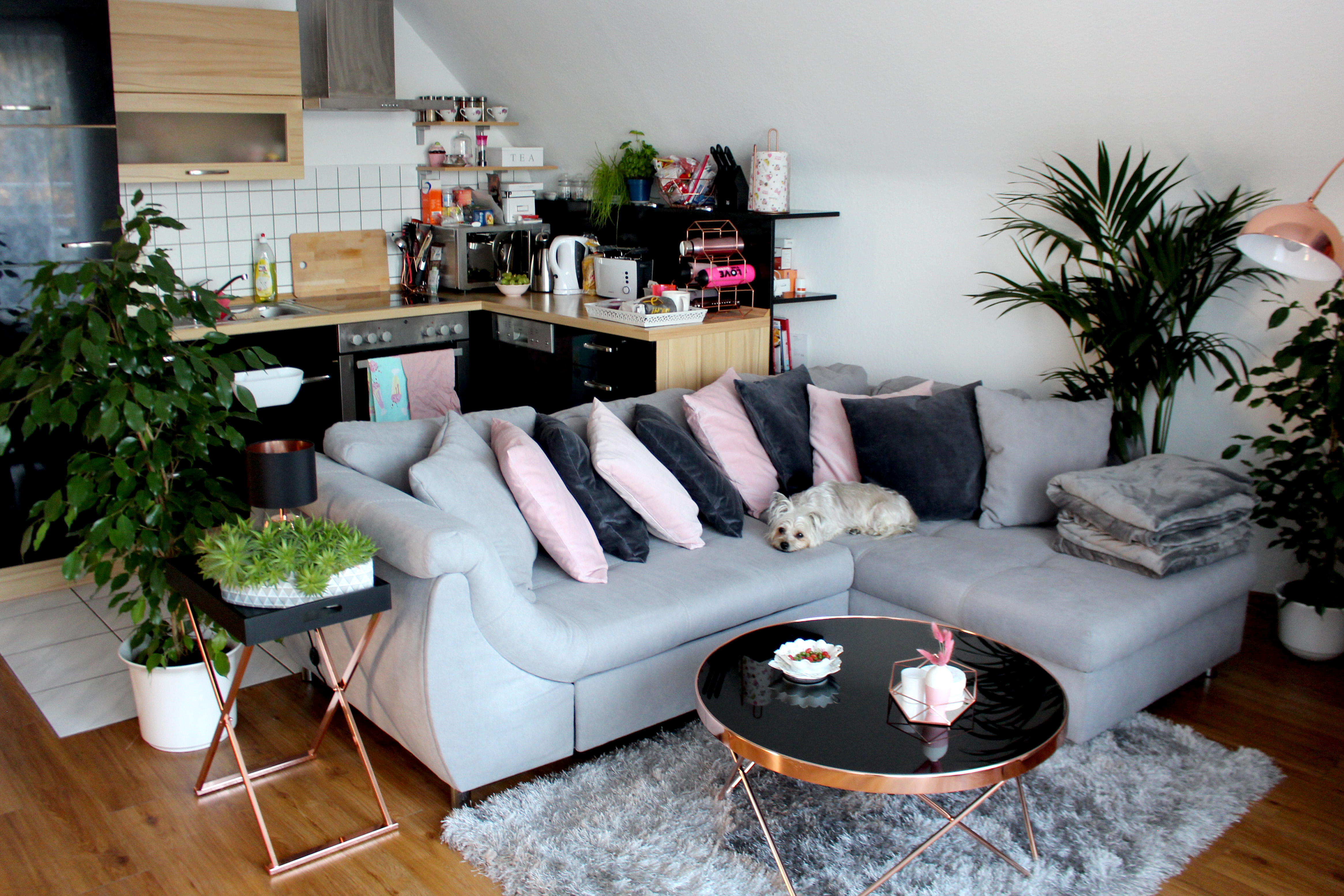 I sure am proud of how everything turned out