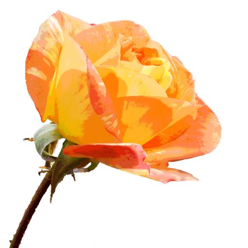 Relaxing, I want to let my imagination flow