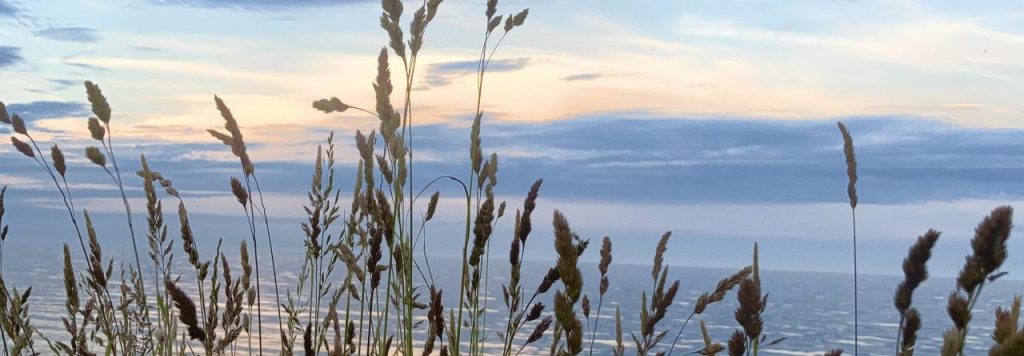 I want confidence in what I’m&nbsp;doing