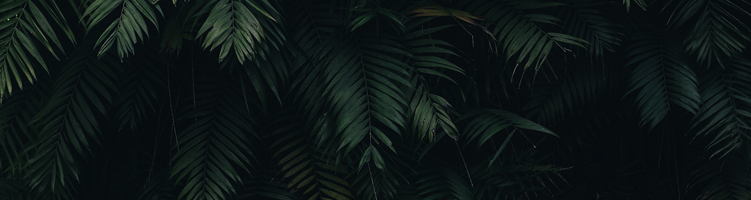 I think sometimes I get too caught up about what others reading (specially those of you that know me) think of me and what you think of my posts, and I end up not really writing about what I want