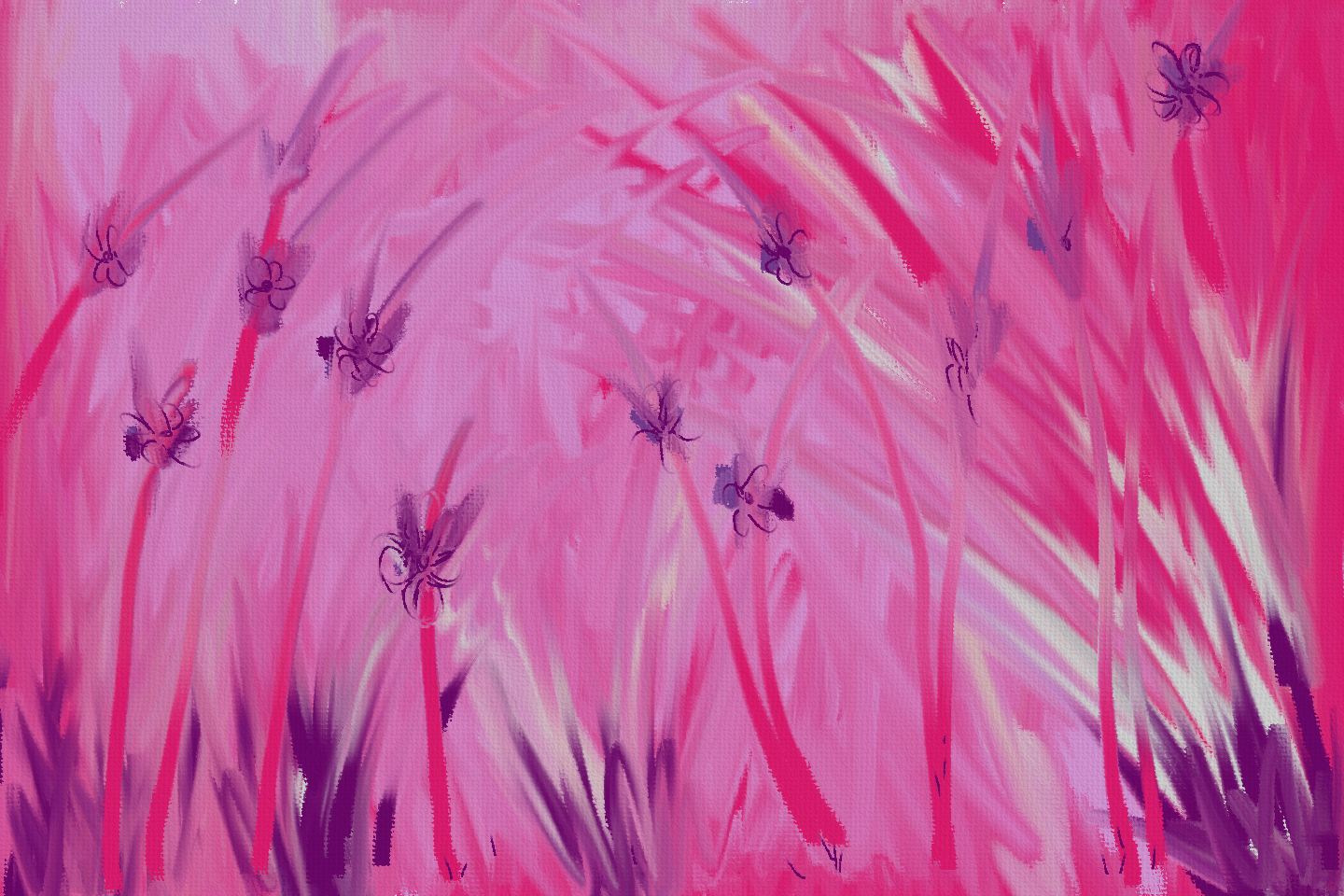 I have many things I want to say