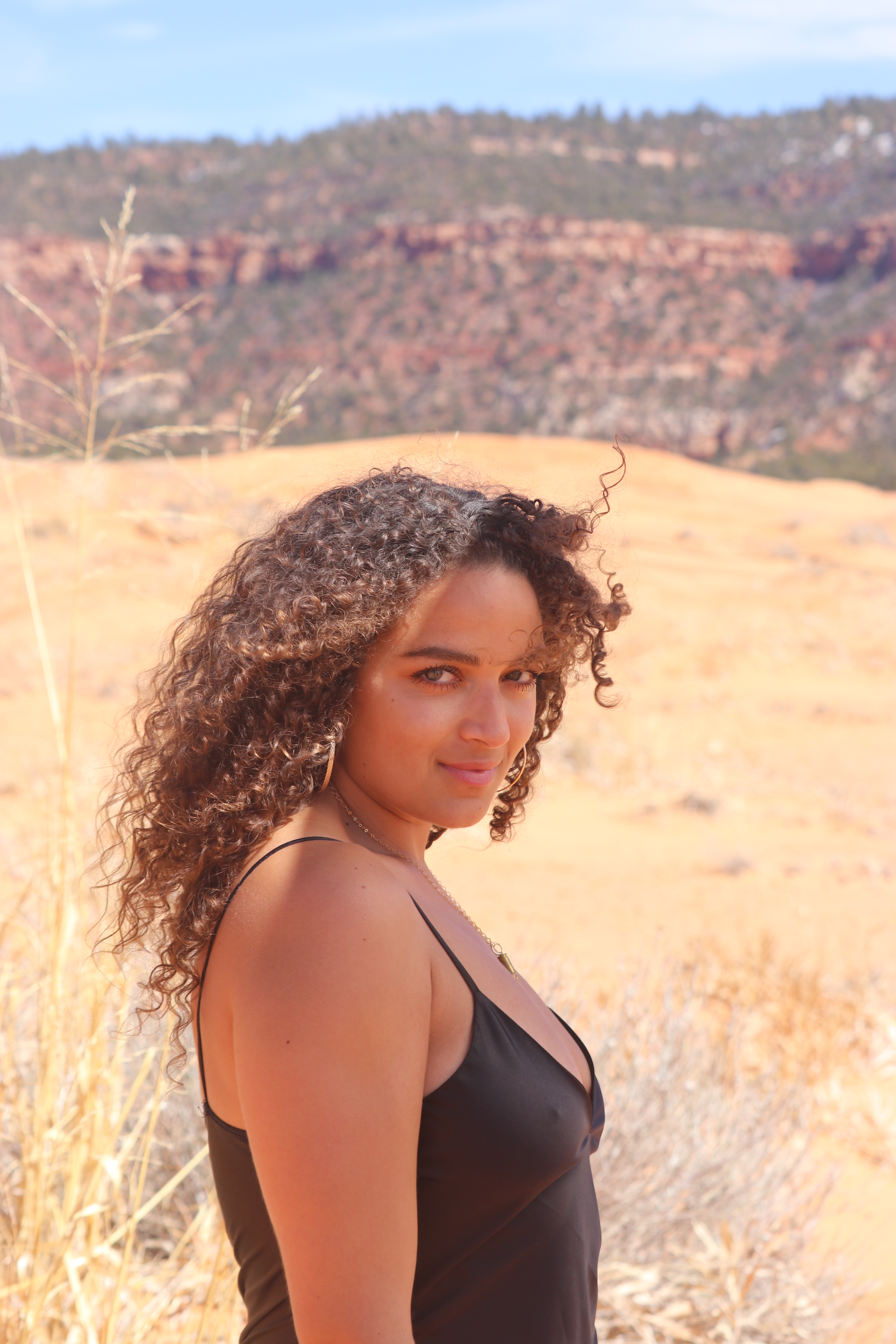 I’m guilty of antagonizing myself to get a clear answer to such an open ended question