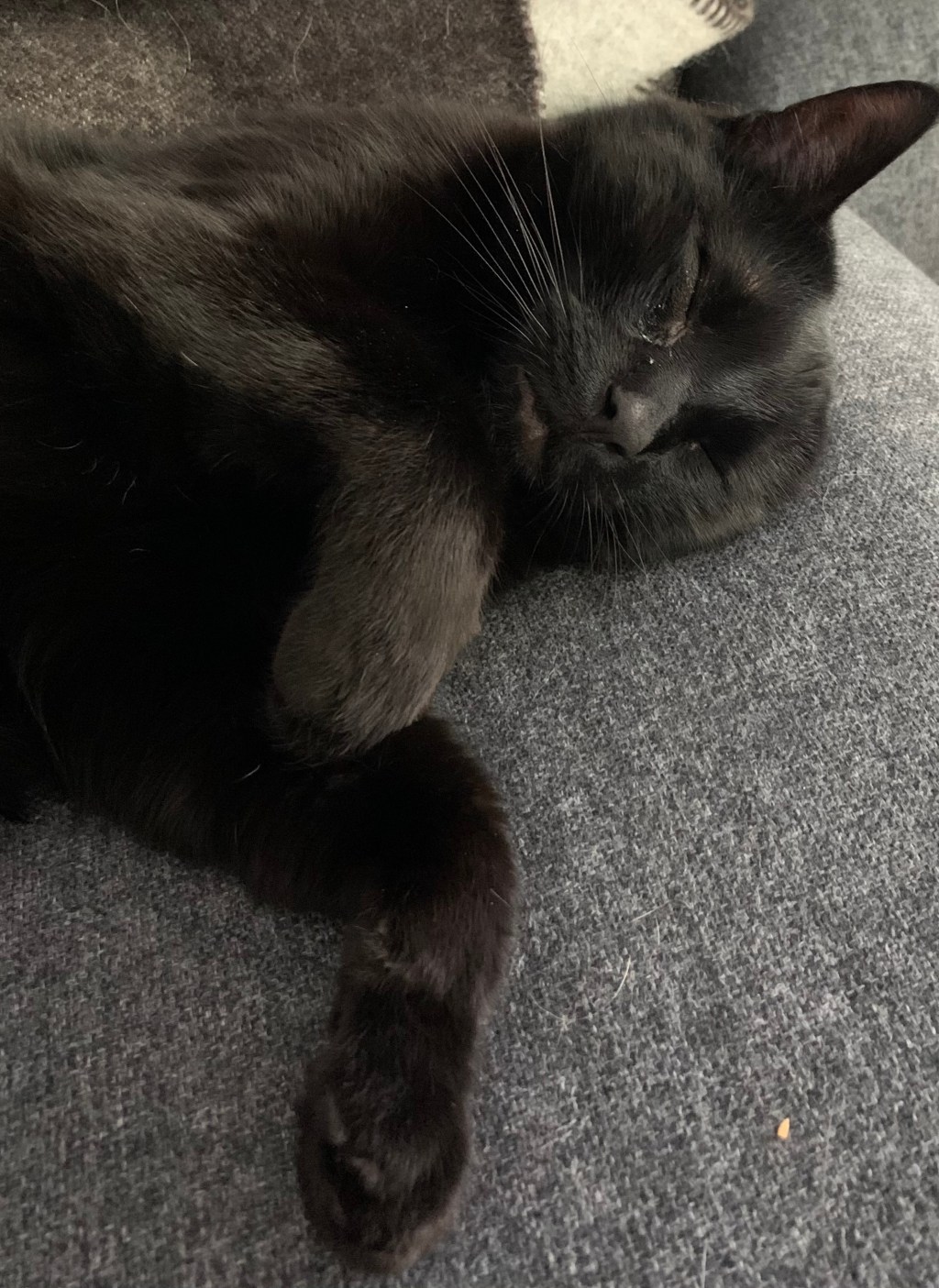 I want to find a way to stop running all these subroutines and just let the processor sit&nbsp;idle