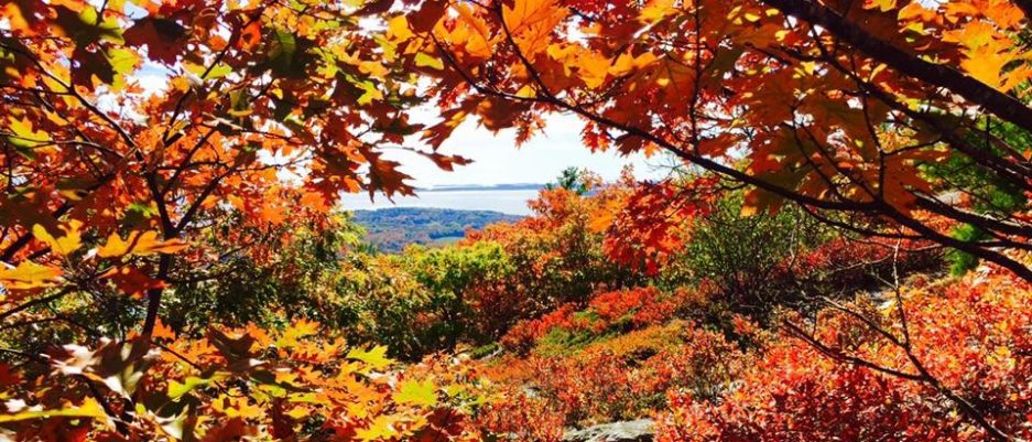 I don’t have to act on urges (emotions) that rise up in me, especially if they are truly not the best for me or others