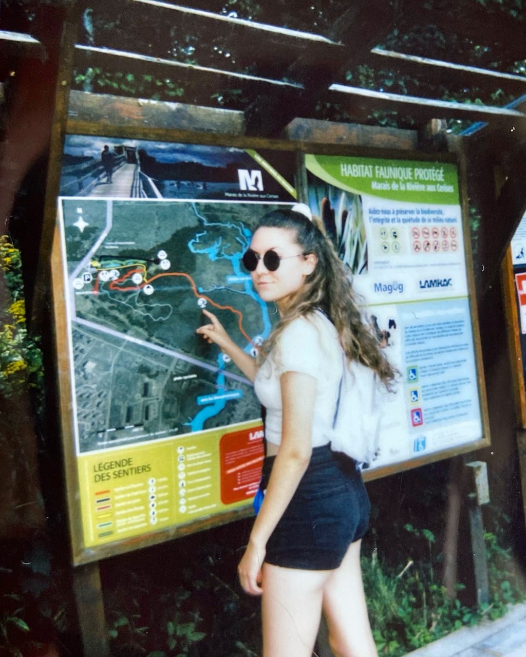 Feeling happy has been a goal of mine that I have wanted to achieve in my&nbsp;lifetime