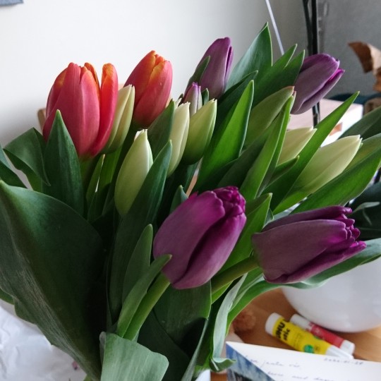 I want to be the&nbsp;solution