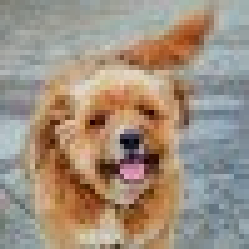 I want to make a difference in the world, and helping raise awareness for the pollution in our oceans is one of the ways I can do it