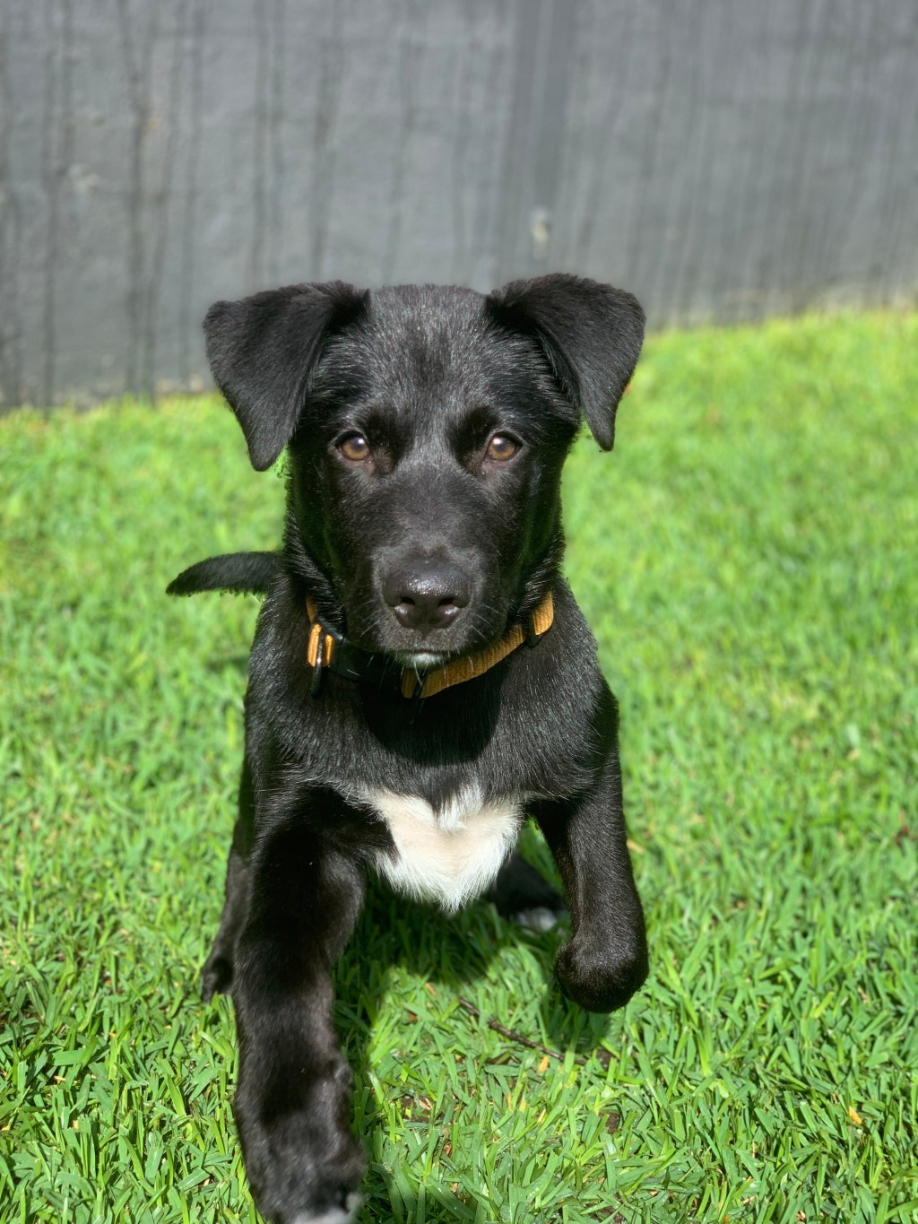 My goal for what I want to do with my degree is to travel and work all over the world