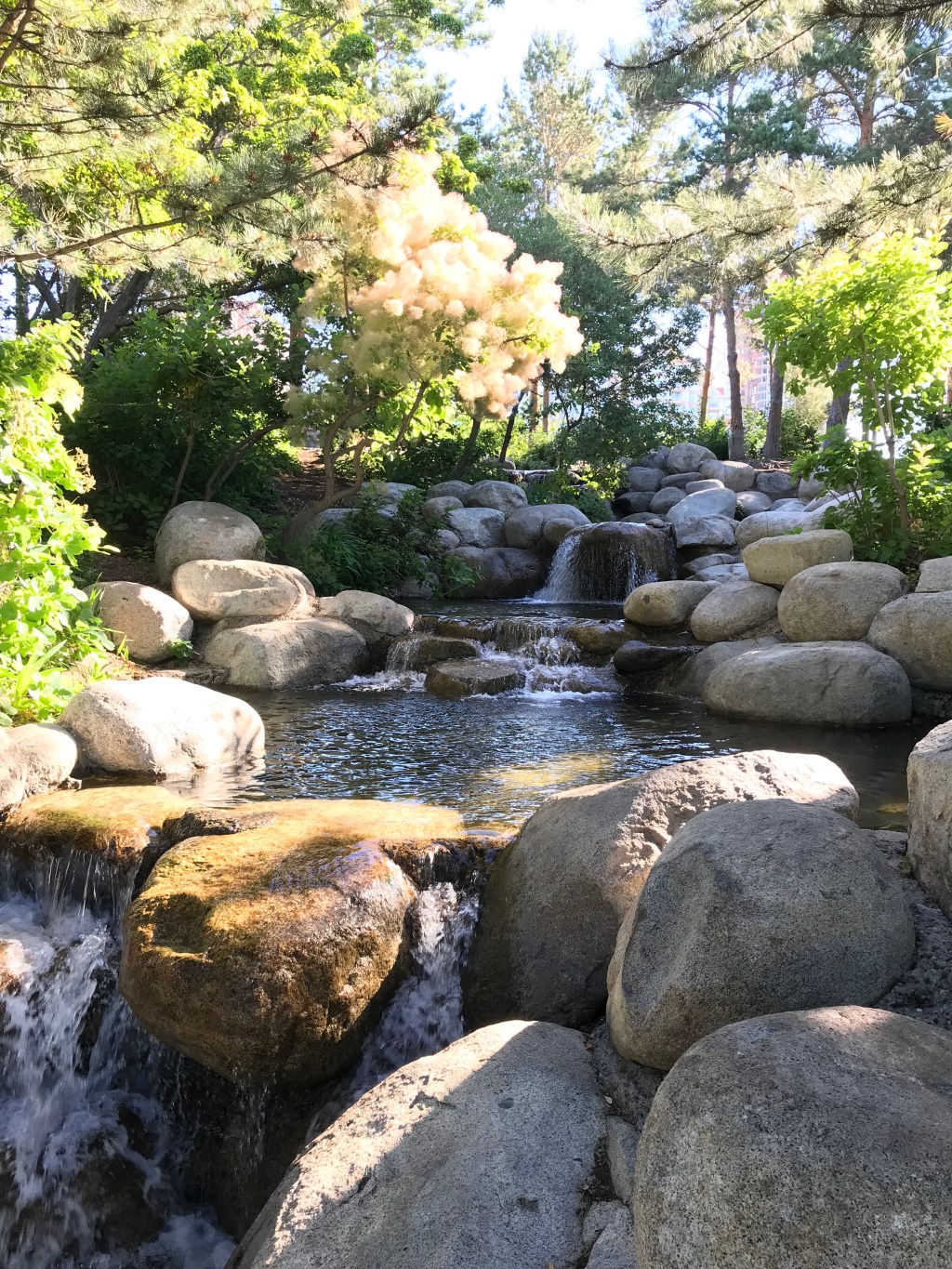 In the day of my dreams I will be retired