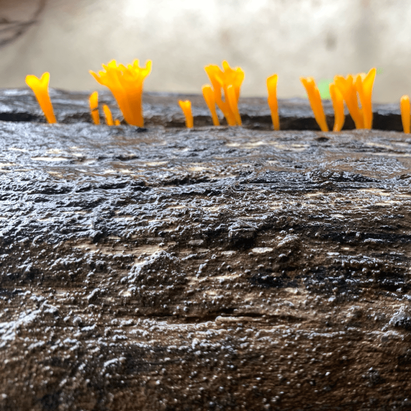 When people say “I want to see you happy” without knowing anything about me or my life it offends me