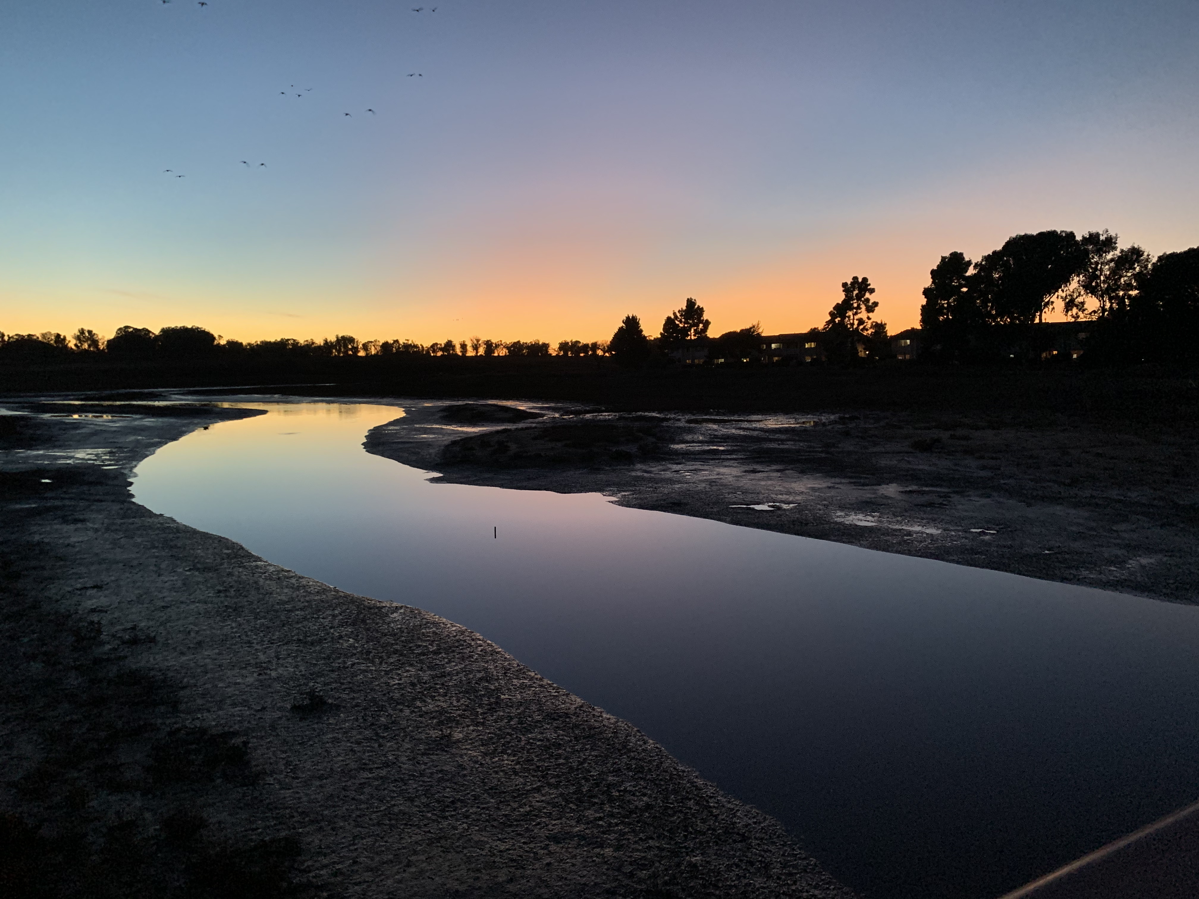 I want to live with “guts” and “grit”