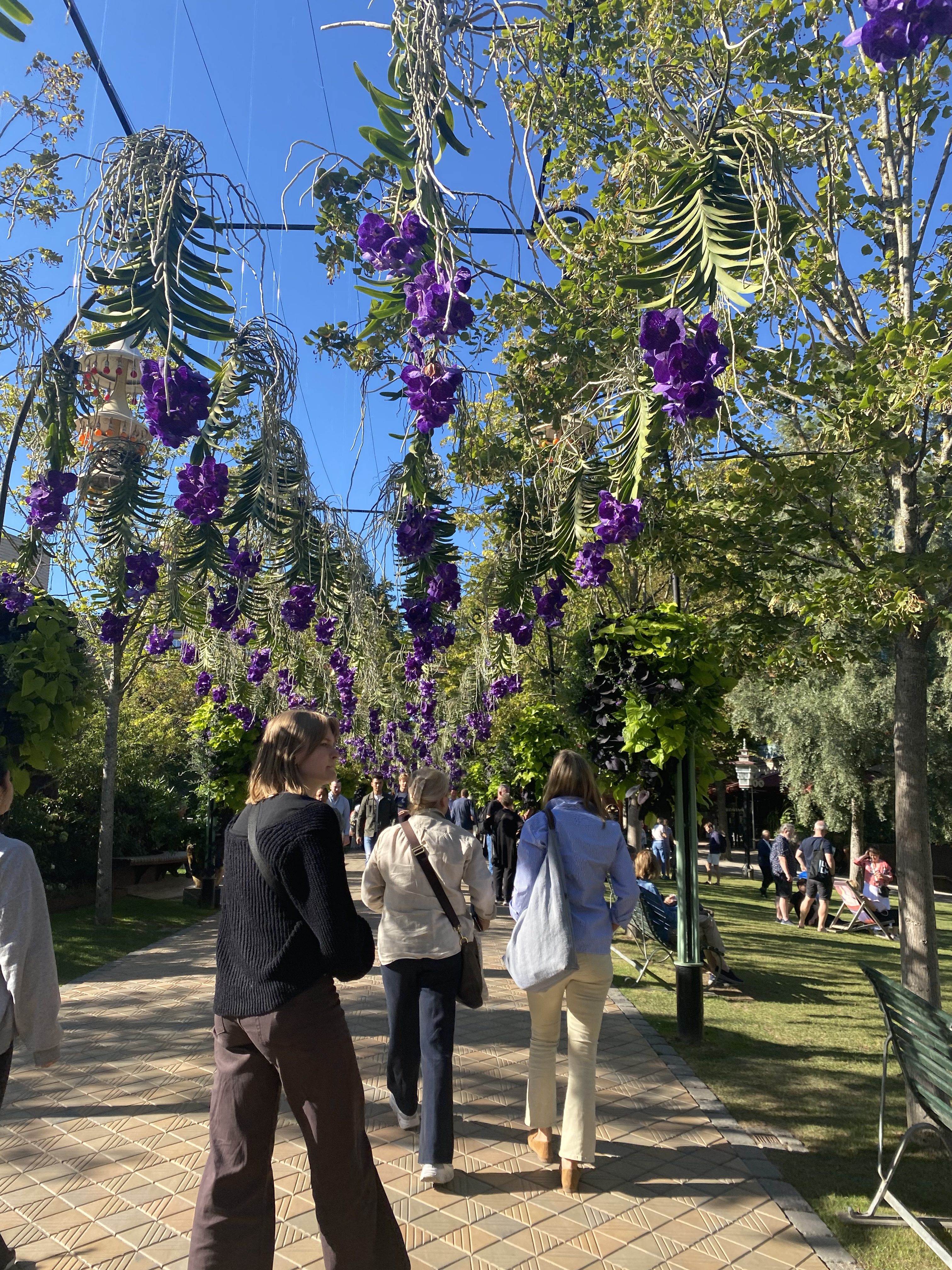 I want to become more comfortable and excited doing things on my own