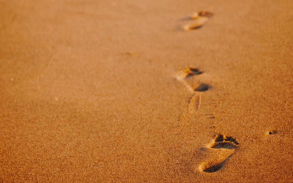 Our actions should contribute to the collective effort towards climate action no matter how&nbsp;small