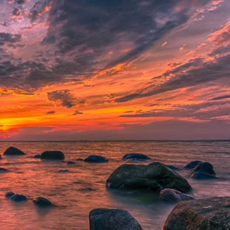 I want to be someone with a valuable skill that is not replicable