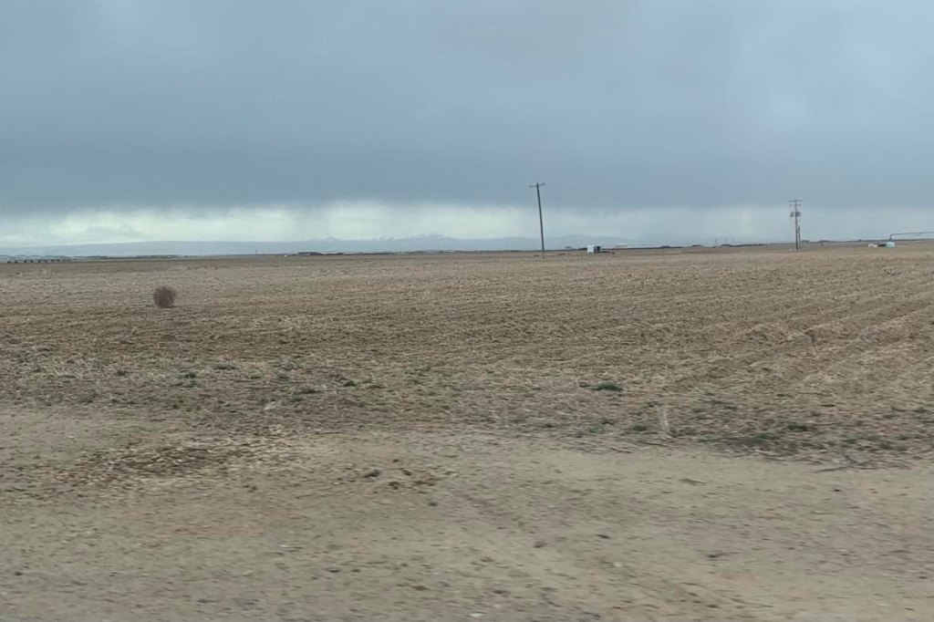 I want the simple&nbsp;life