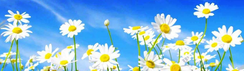 I just want to be&nbsp;wanted