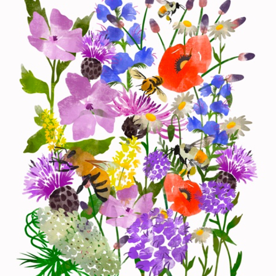 I want to be more comfortable in my own skin and feel better when I look in the&nbsp;mirror!