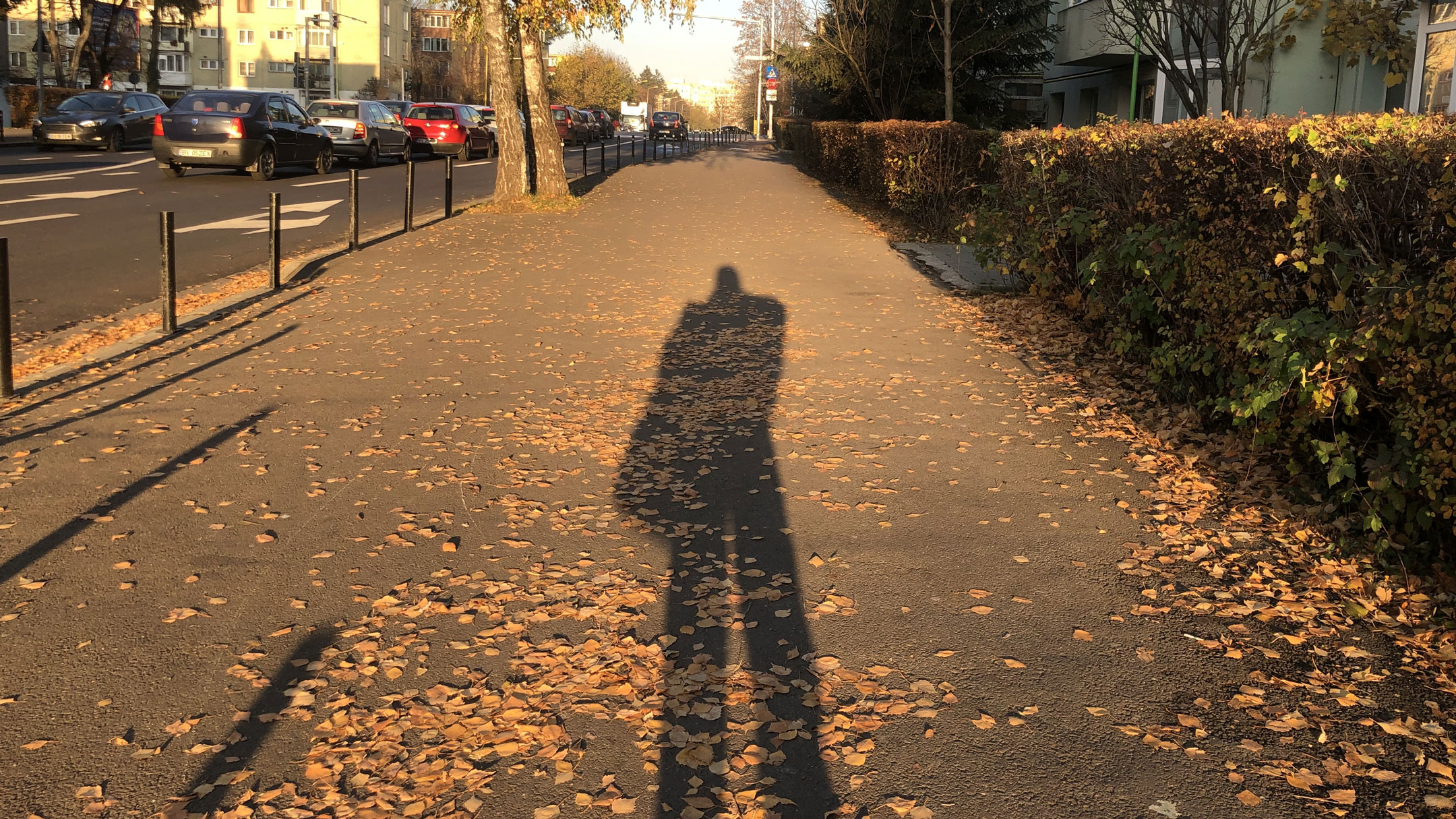 I want to go out knowing I couldn’t have done any more