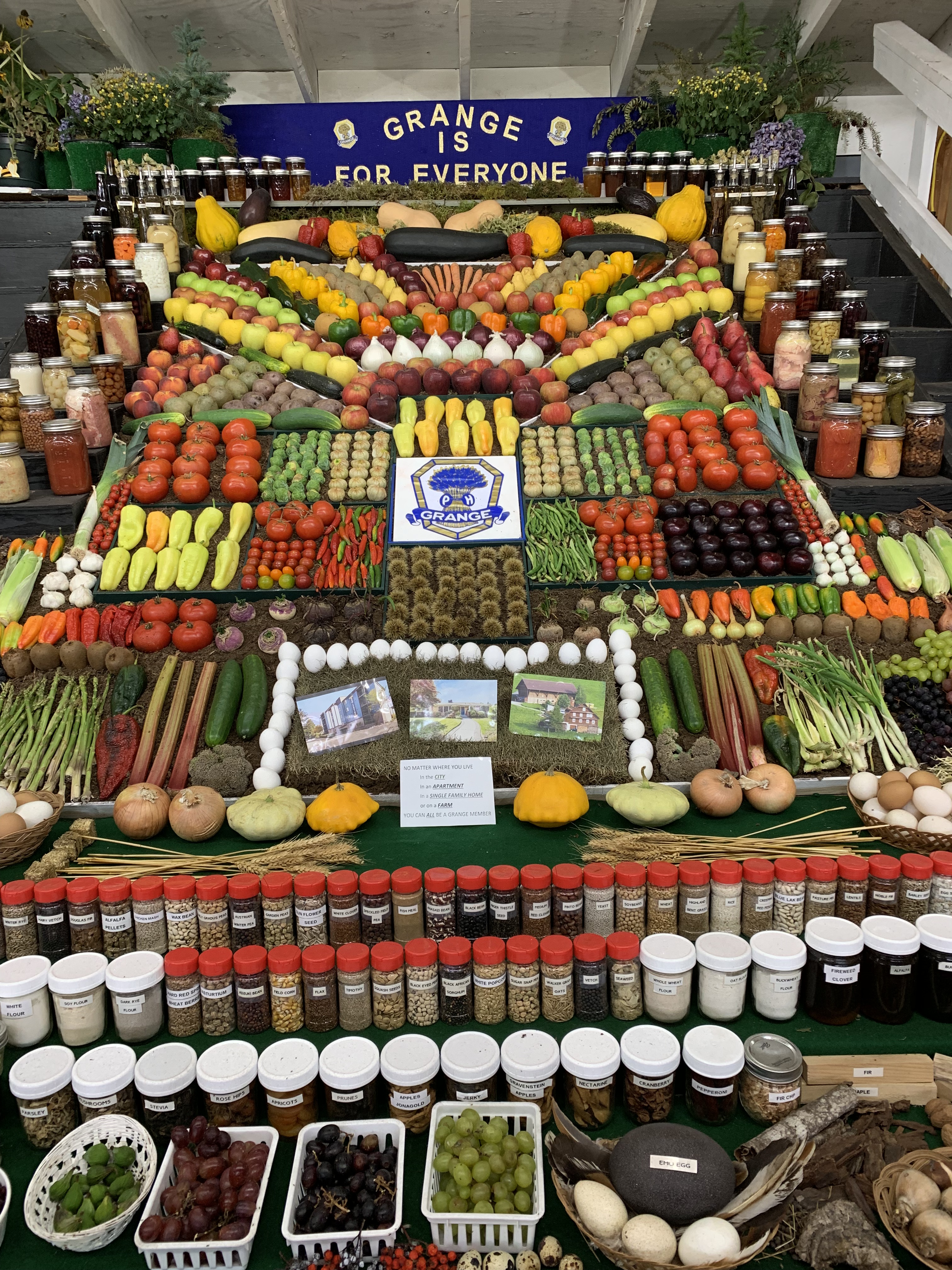 I wanted to research the diet