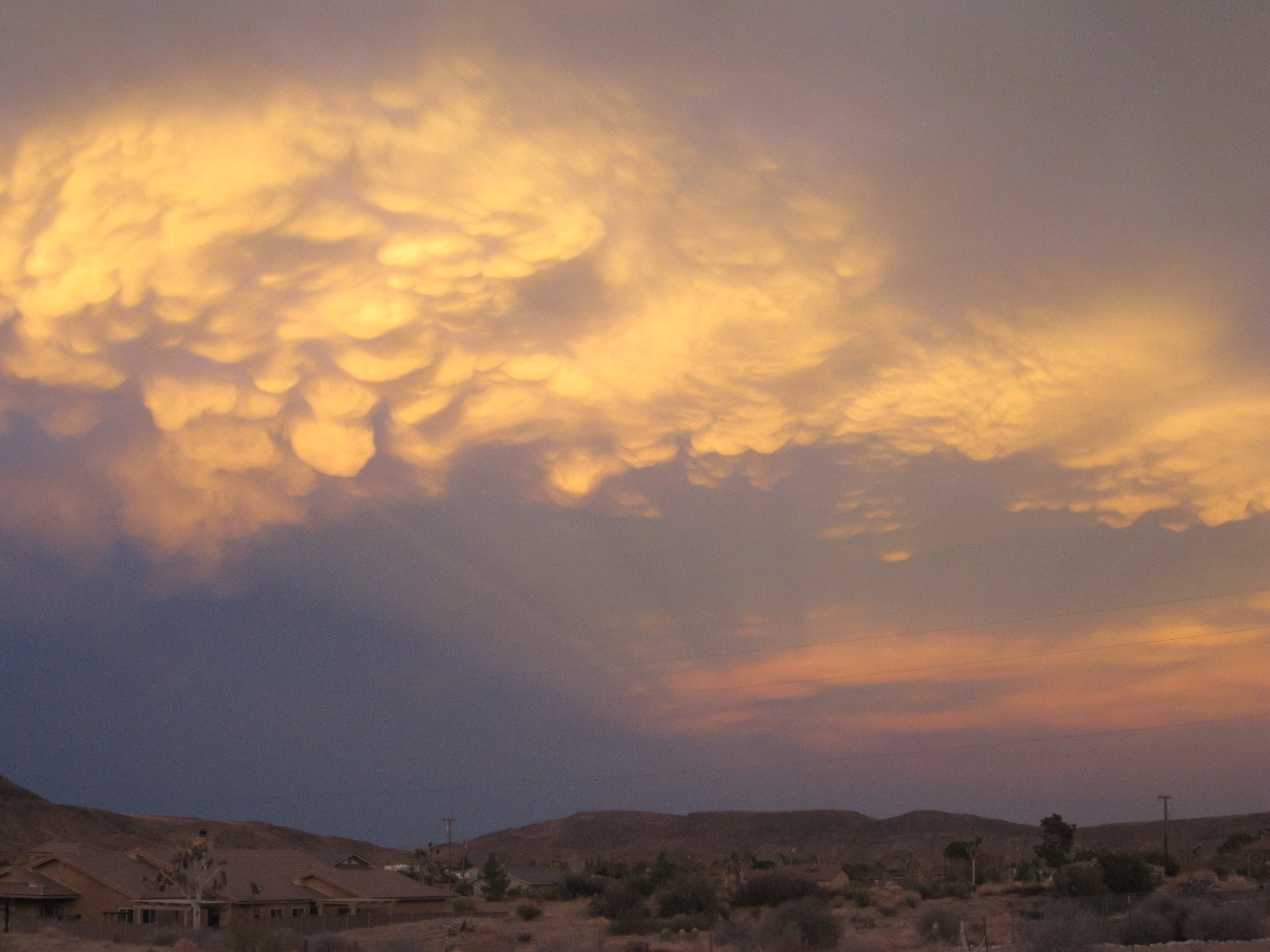 I am taking the tack of just “being who I want to be”