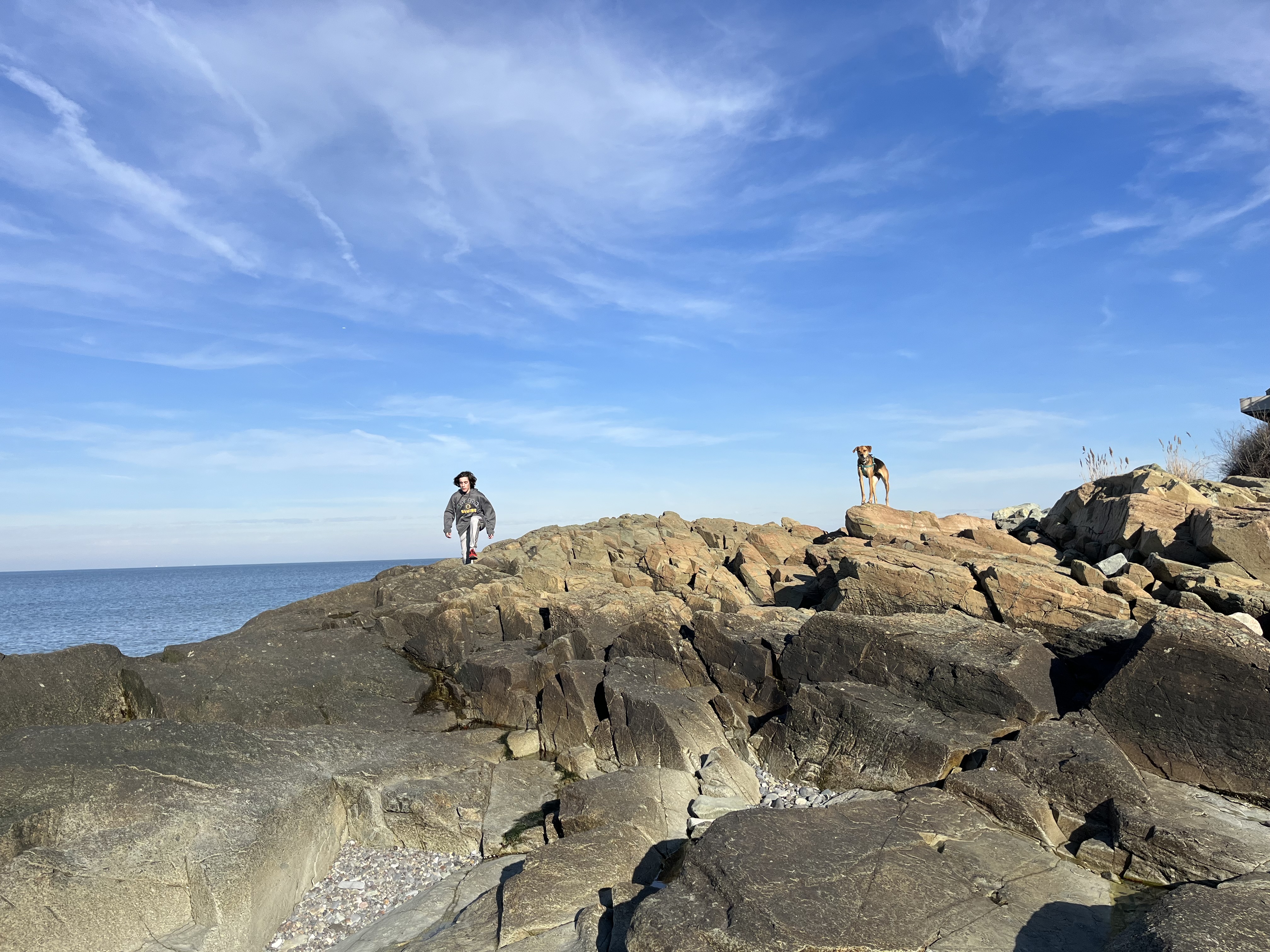 I have so many things I want to do