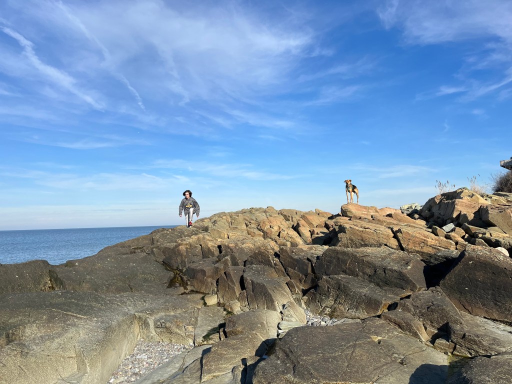 I have so many things I want to do