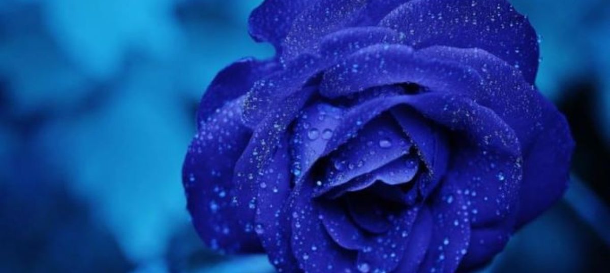 I wanted to try dating apps