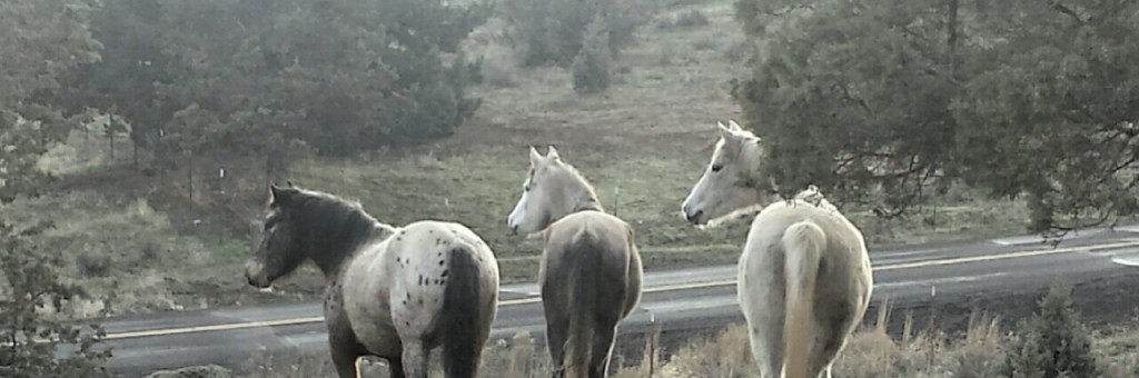 I can’t seem to get rid of this nagging guilt I feel for wanting them to be in my&nbsp;life