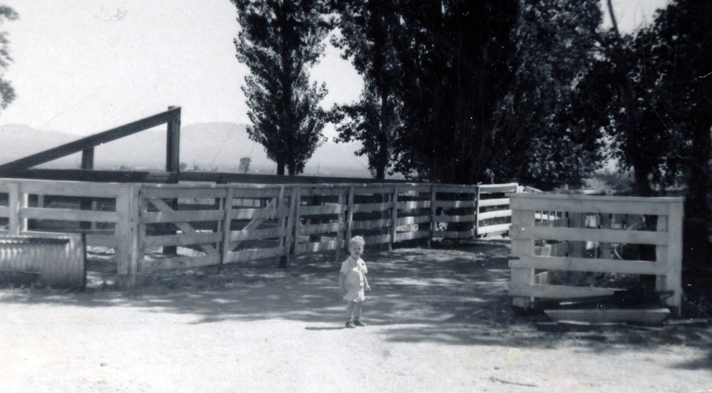 I am who I want to be when I grow up