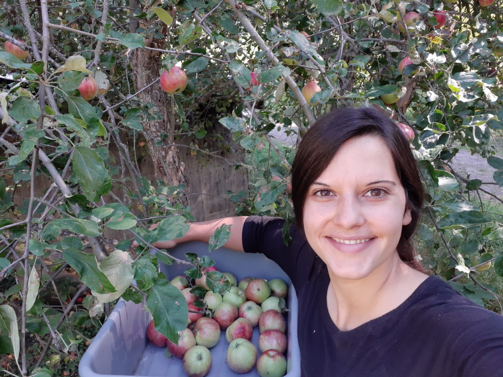 I wanted to do this blogging&nbsp;thing