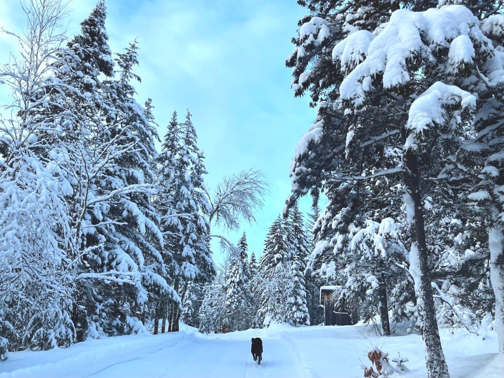 I suppose too often we are afraid to tell others what we want and what we need, because that reveals our&nbsp;vulnerability