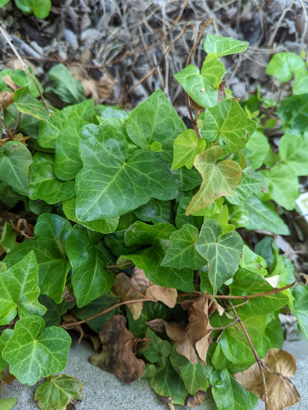 Wherever the source of my passion sprouts from to start reaching these goals now, I want to grab its hand and run!!!