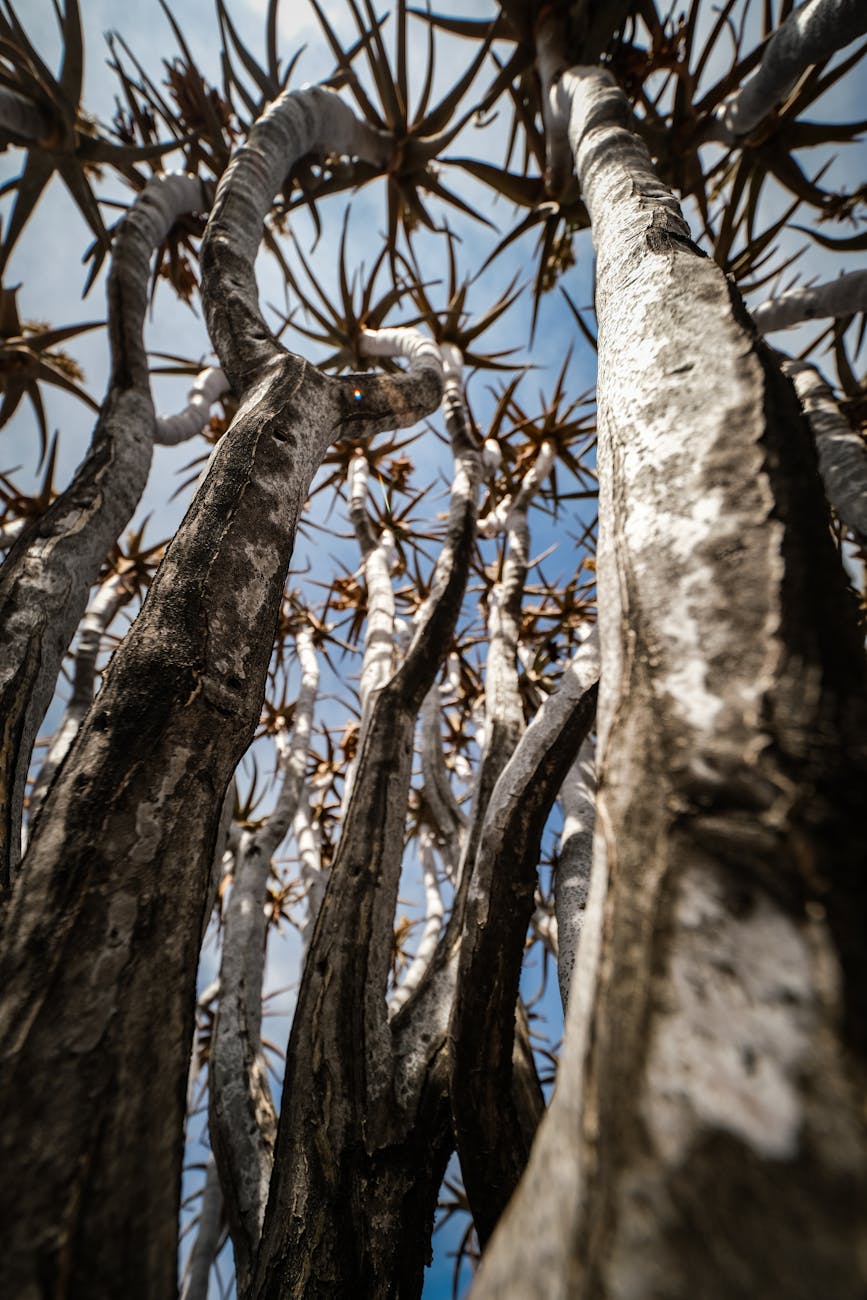 The moment I knew that I want to carry on this pregnancy, it was a completely different feeling all&nbsp;together