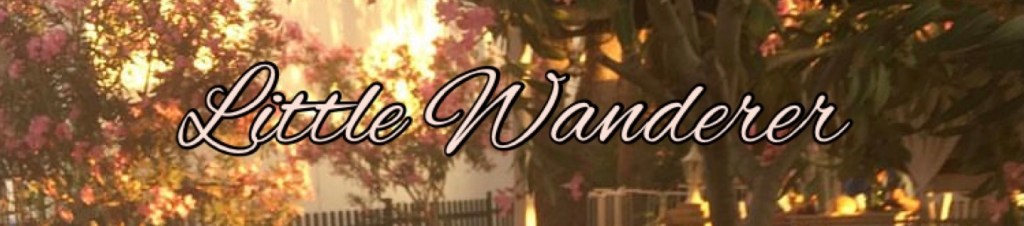 I’ve always wanted to travel