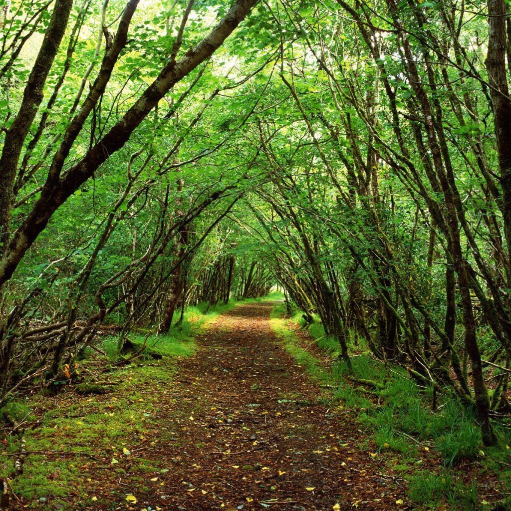 I do want to take more time to read and write by myself