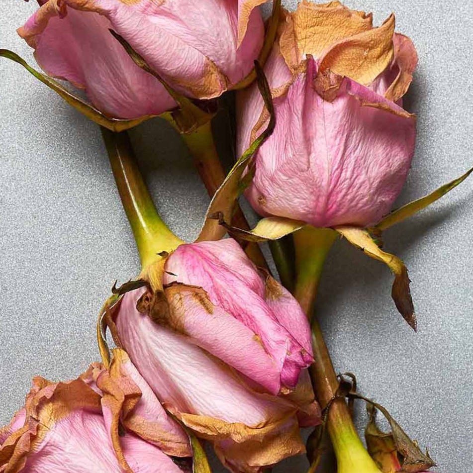 maybe this time, when I want to write would be more consistent