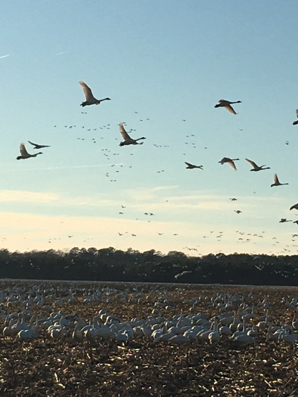 I wanted to&nbsp;accomplish!